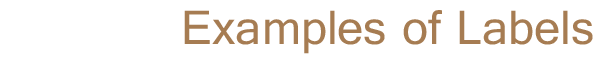 Title - Examples of Labels